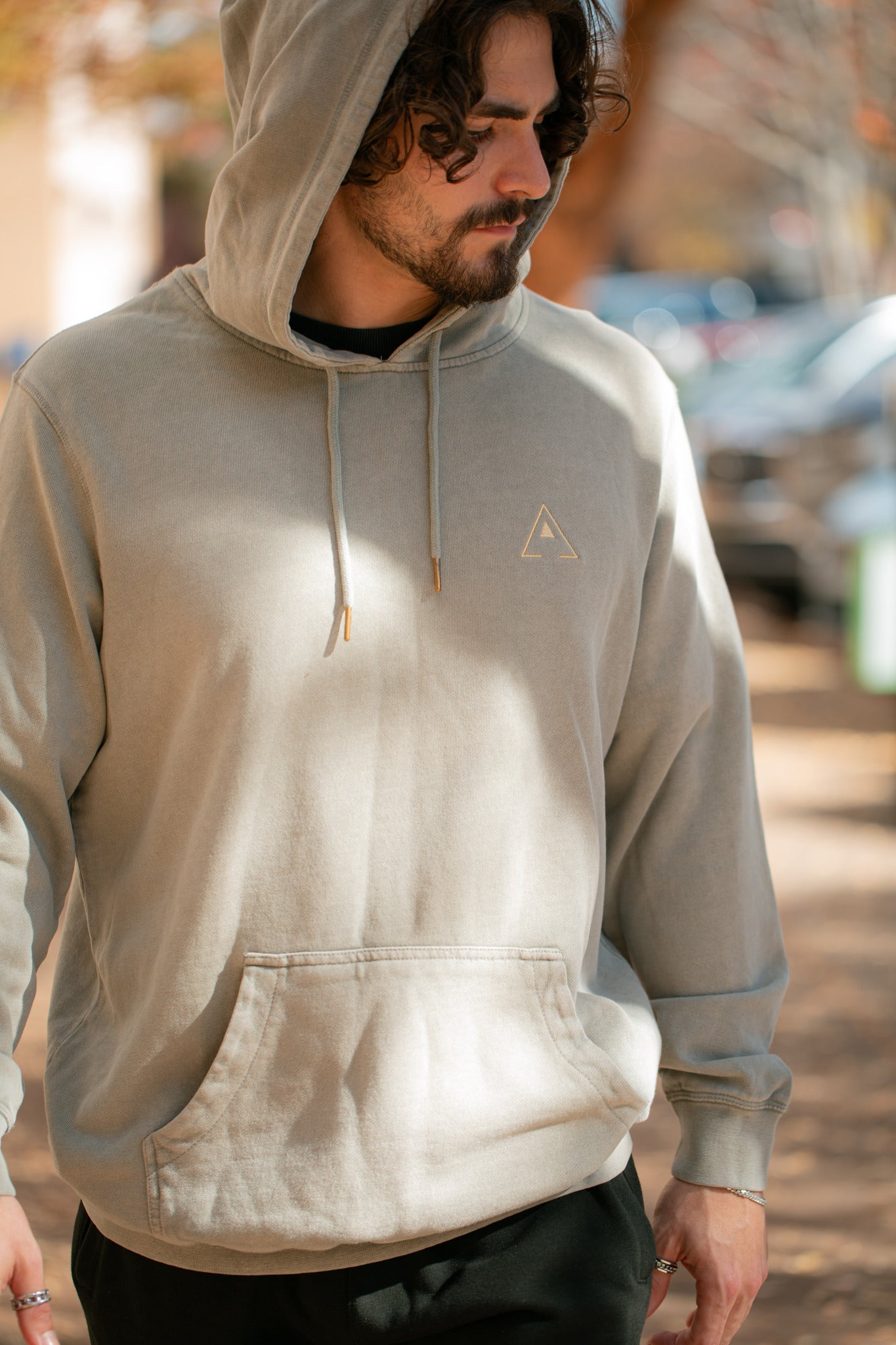 Cotton Grey Hoodie - Organic Comfort & Style | Asti Clothing